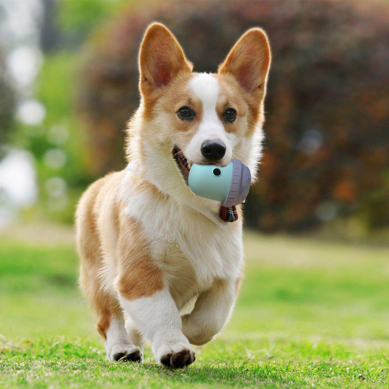 Interactive Rolling Treat Dispenser Dog Toy