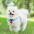 Gingham Lace Pet Bib Collar with Strawberry Charm Details