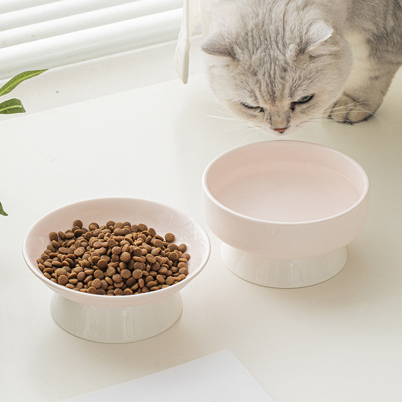 Modern Raised Pet Food Bowl for Cats & Small Dogs